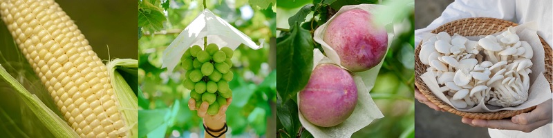 �R���Y�����T�C�g